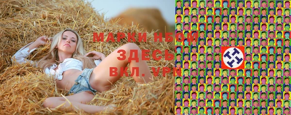 ПСИЛОЦИБИНОВЫЕ ГРИБЫ Баксан